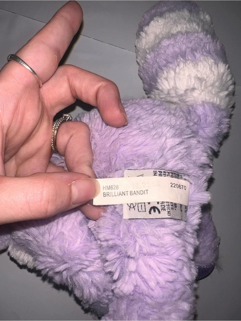 Brilliant Bandit Webkinz